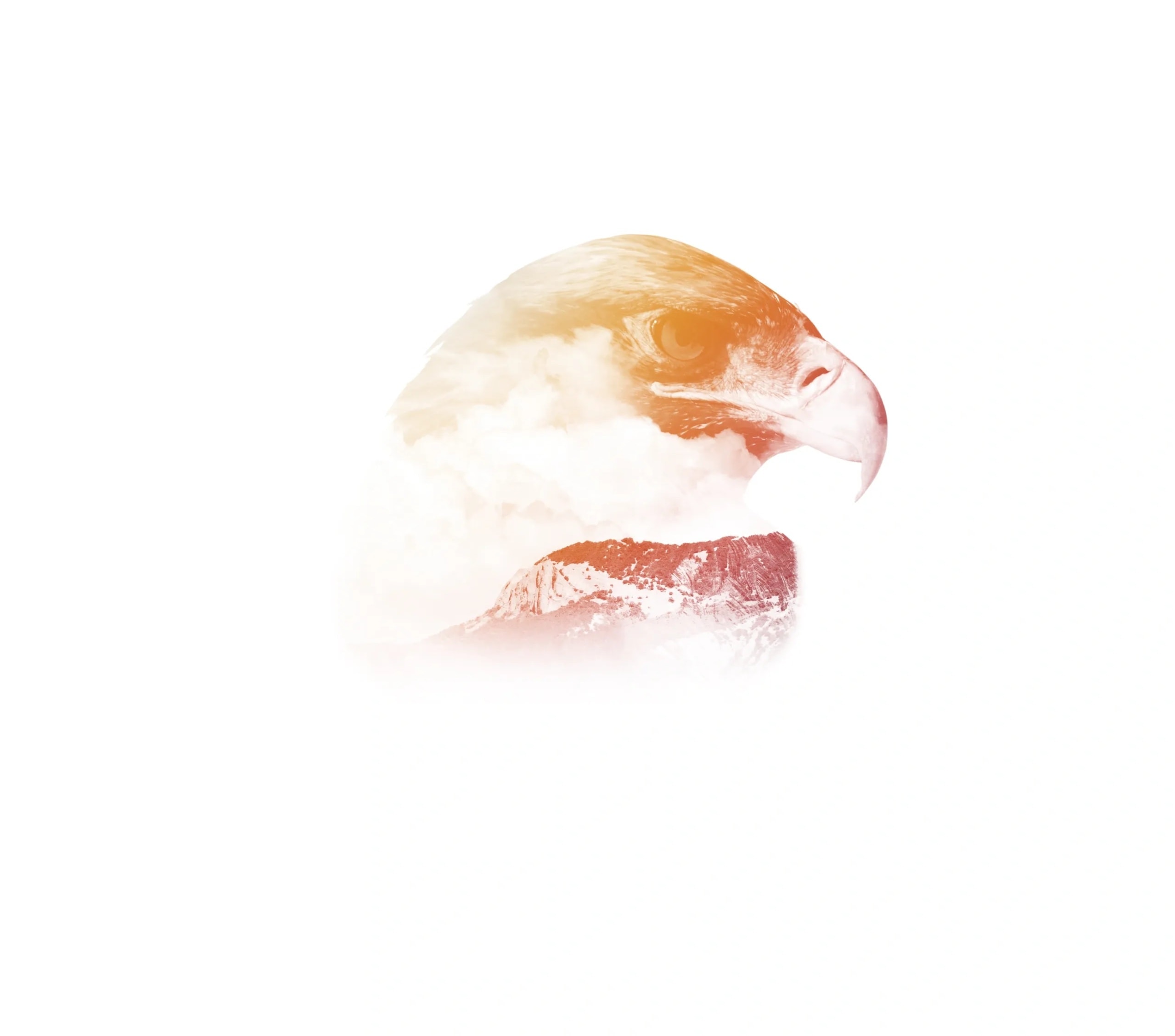 Red-Tailed Hawk Field Tee
